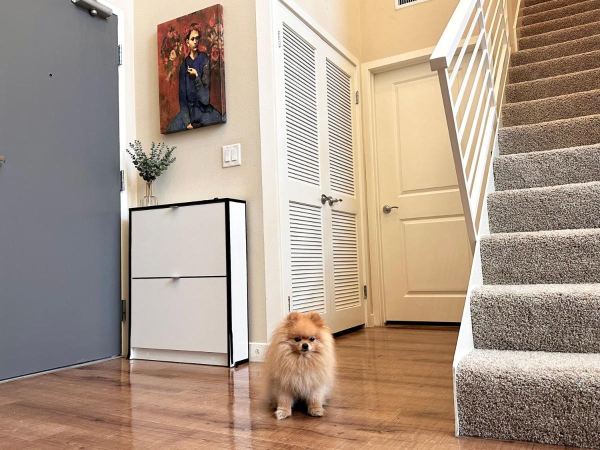 Apartament Creative 2 Levels Penthouse Los Angeles Zewnętrze zdjęcie